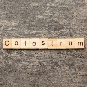Colostrum Powder
