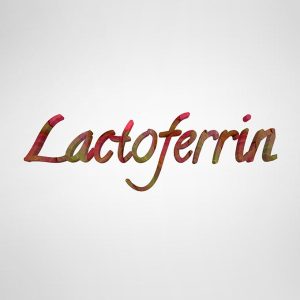 Lactoferrin