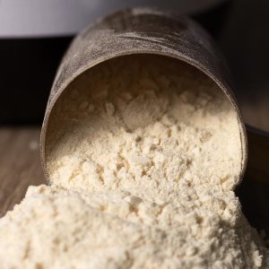 Whey Protein Concentrate (Egg Replacement)